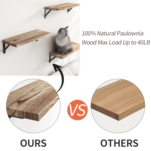 YGEOMER Estantes Flotantes, Estantes de Madera Rústica, 4 Juegos de Estantes de Pared para Decoración de Baño, Dormitorio, Sala de Estar y Plantas (Negro Carbonizado)